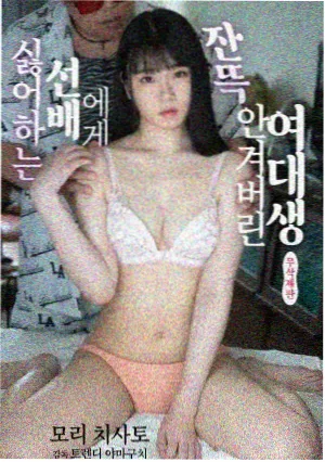 同人动漫51 资讯配图 角色设定趋势观察
